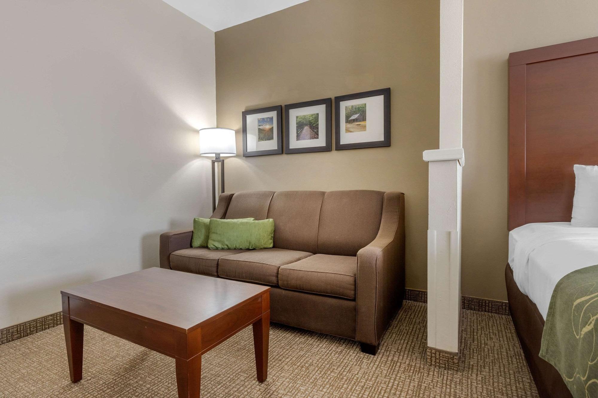 Comfort Suites Johnson City Near University Dış mekan fotoğraf