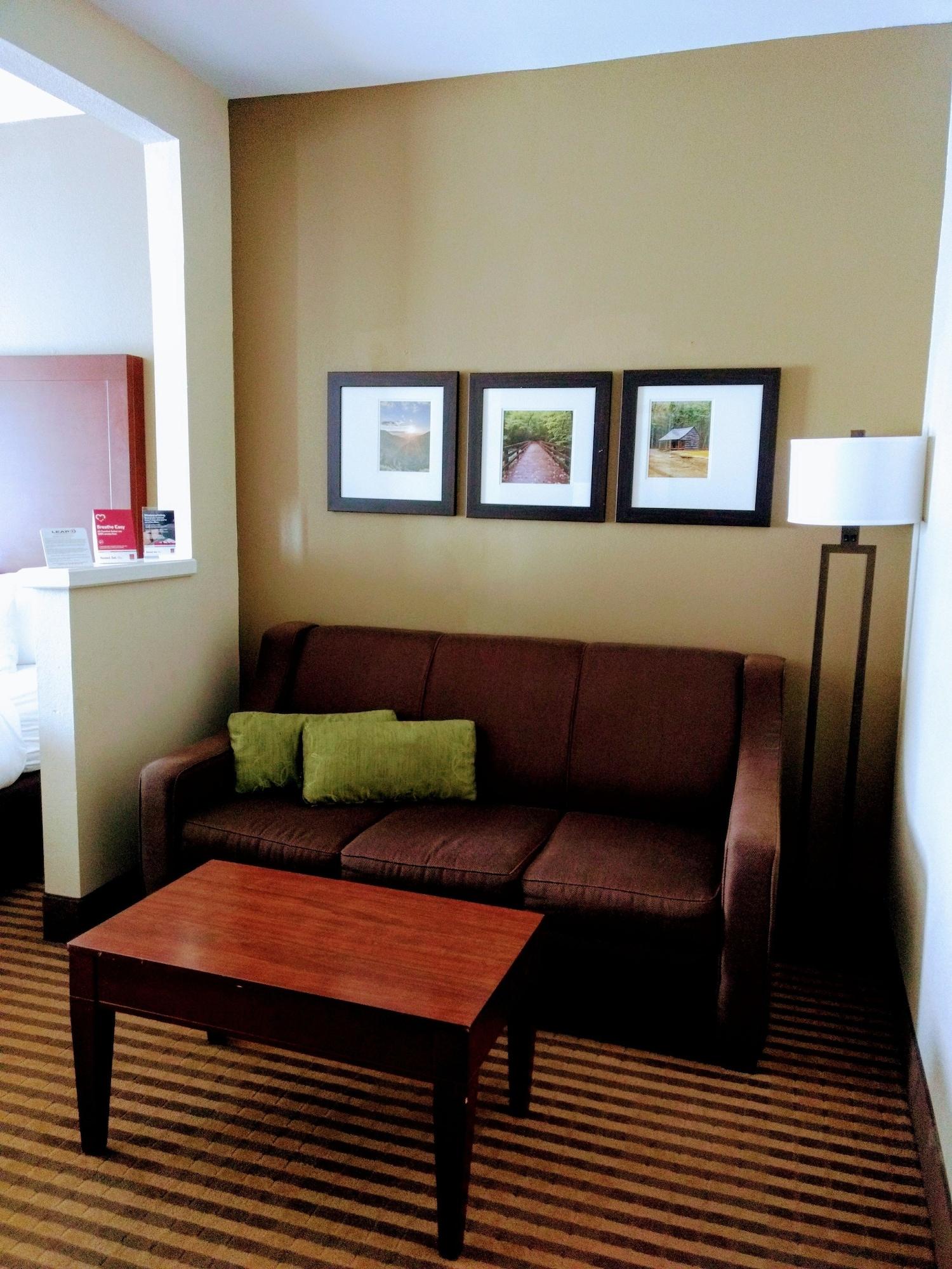 Comfort Suites Johnson City Near University Dış mekan fotoğraf